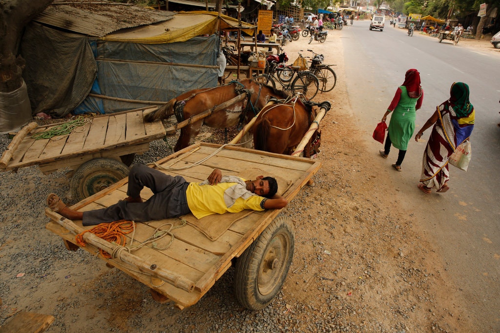 India heat wave, soaring up to 123 degrees, has killed at least 36